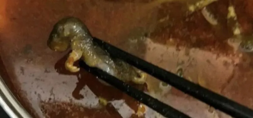 Restoranda büyük skandal! Çorbanın içinden ölü fare çıktı