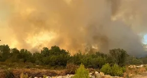 6 ilde korkutan orman yangını!