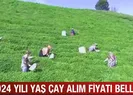 Yaş çay alım fiyatı belli oldu