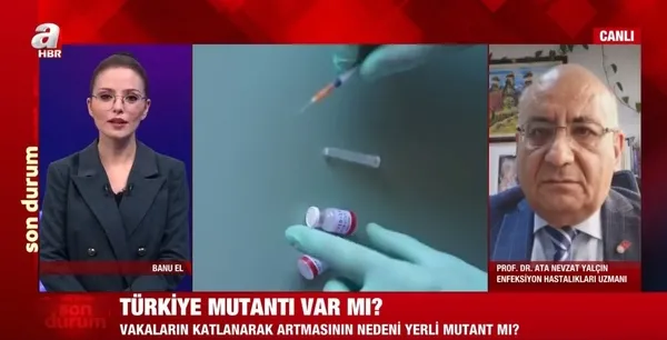 Türkiye'de 3. dalga başladı mı? Yeni görülen vakalardaki belirtiler neler? Türk bilim insanı A Haber'de anlattı - 2