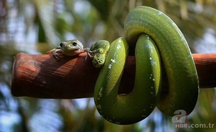 Günün ilginç kareleri 18