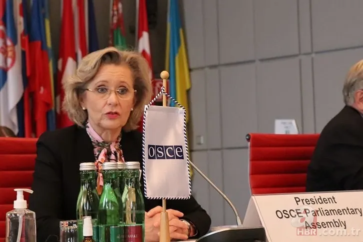 PKK paçavrası İsveç'i karıştırdı! Kriz çıkaran fotoğraf 7