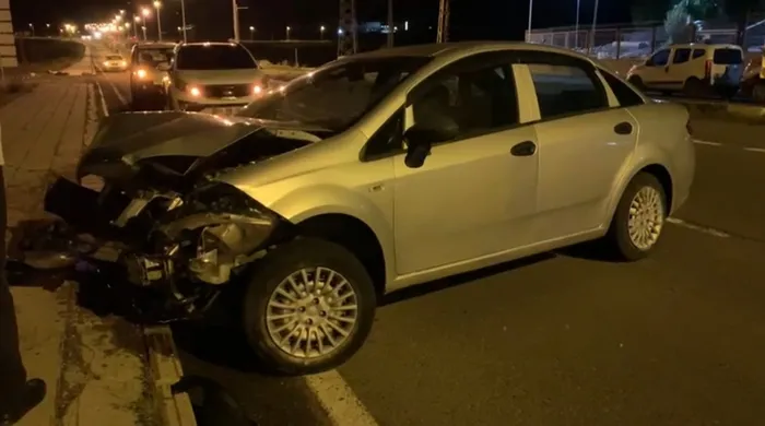 Sarıkamış’ta otomobilin çarptığı ayı telef oldu - 3