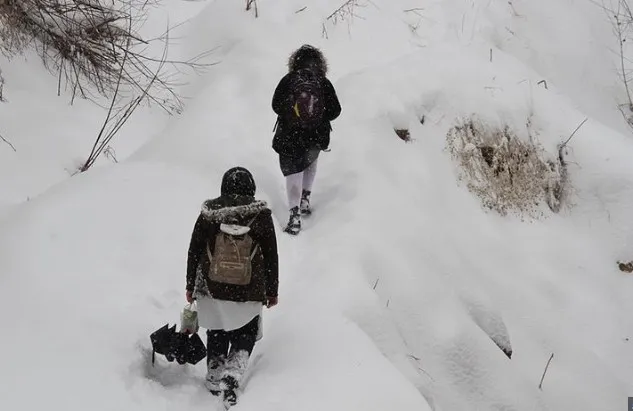 Fotoğraf- AA Arşiv