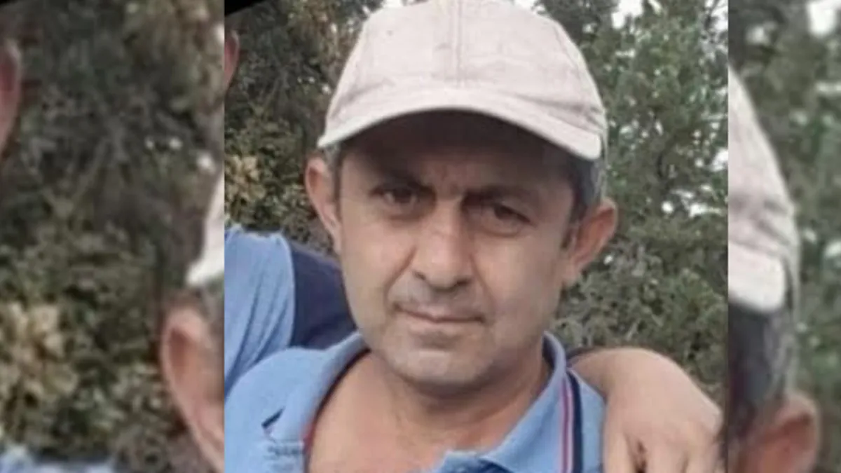 Bolu'da korkunç olay: Kestiği ağacın altında kalarak can verdi