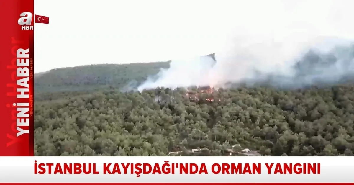 Son dakika: İstanbul Kayışdağı'nda orman yangını! İlk görüntüler