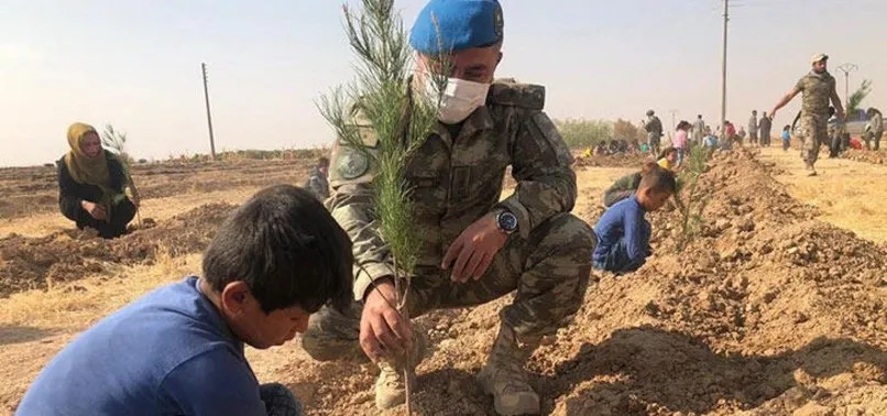 Türkiye'den Tel Abyad'ı yeşillendirme çalışması