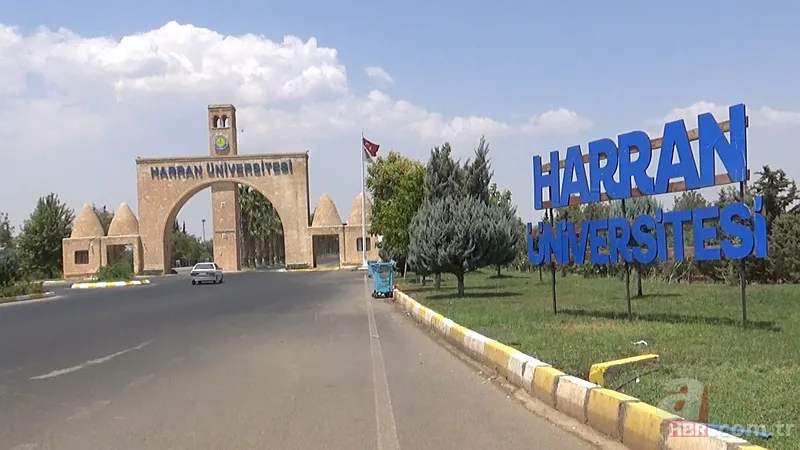 Köpekler koruma altındaki ceylanları parçalayarak yedi 2