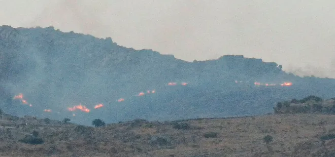 Bodrum'da otluk ve makilik alanda  yangın! 3 saatte kontrol altına alındı