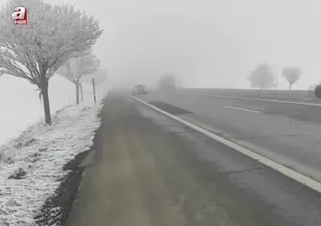 Bitlis’te yoğun sis etkili oldu