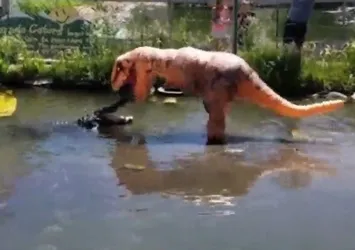 Timsahların dinozor kılığına giren adam tepkisi