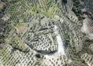 Dev yarıklar! Zeytin bahçesi ikiye bölündü