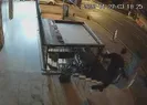 Köpeği boğan saldırganın ifadesi kan dondurdu!