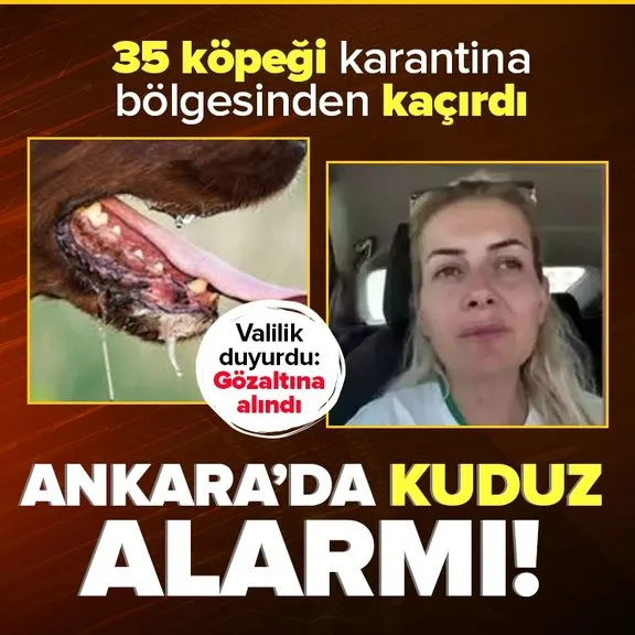 Şanlıurfa’da bir kadın kuduz köpekleri kaçırdı! Ankara Valiliği açıkladı: Gözaltına alındı