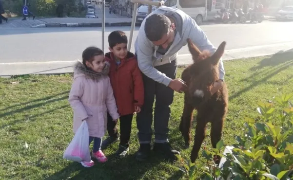 İstanbul'un en kalabalık ilçesinde vatandaşların eşek ve sıpa şaşkınlığı