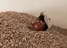 Siirtye fıstık deposunda iğrenç görüntü