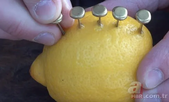 Rus mühendis limon ile yaptı! İnanılmazı başardı...