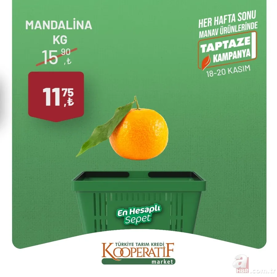 Tarım Kredi Market Kasım indirimleri bitiyor! Tost peyniri, sıvı deterjan, tuvalet kağıdı, domates salçası ve dana kıyma kaç TL’ye satılıyor? 4