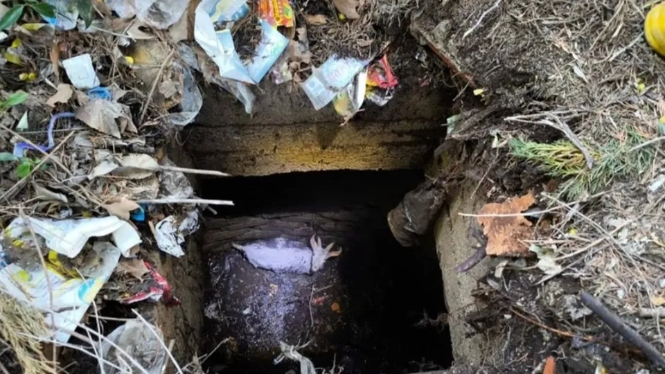 Yalova’da keçi kurtarma operasyonu