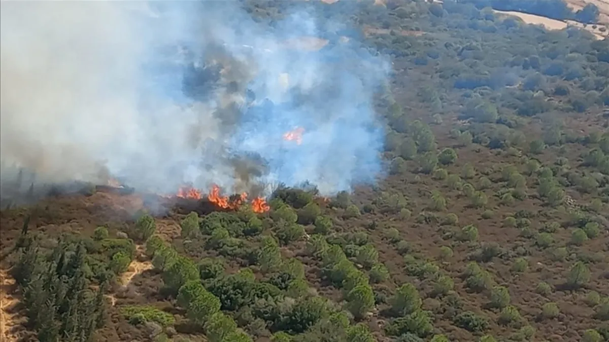 İzmir'de orman yangını! Alevler kontrol altında