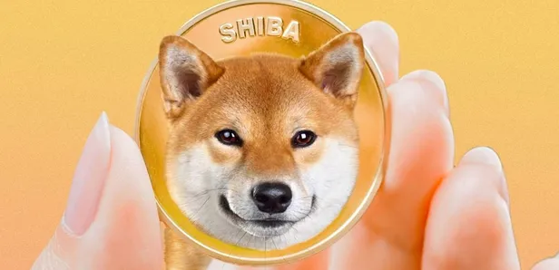 Shiba coin yakımı son dakika ne zaman? Shiba coin ne kadar, yükselecek mi? İşte yorumlar... - 2