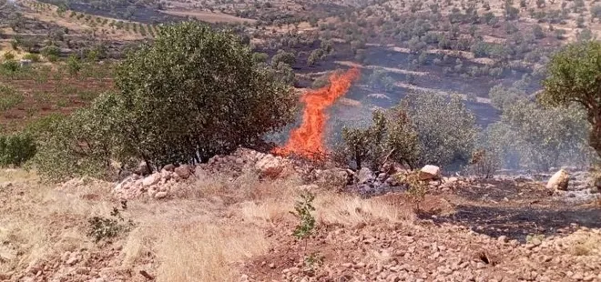 Mardin’de anız ve orman yangınları kontrol altına alındı