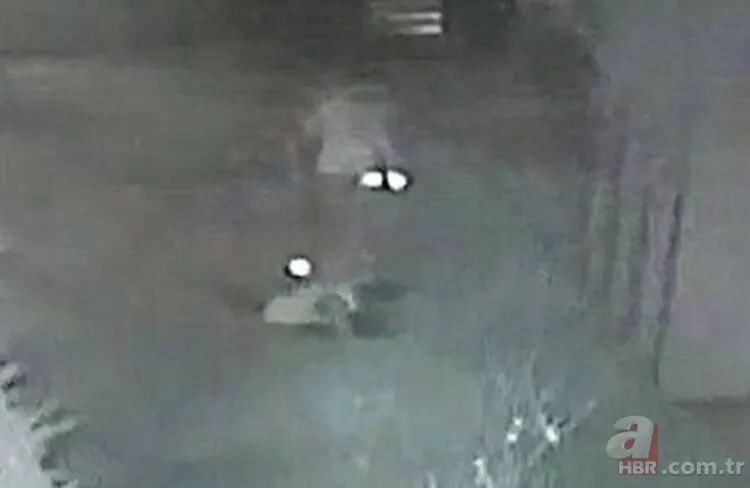 Ukraynalı manken Daria Kyryliuk saldırısında çifte şüphe! Polisler erkek arkadaşını teşhis etti 1