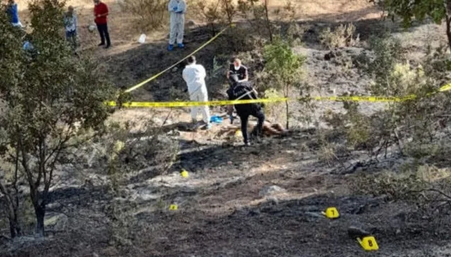Antalya'daki orman yangınında dehşet! Yanmış erkek cesedi bulundu - 2