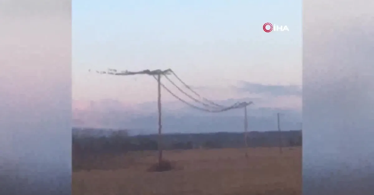 Sığırcık kuşlarının dansı elektrik kesintilerine yol açtı