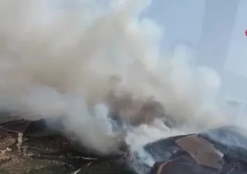 Manisa'da orman yangını