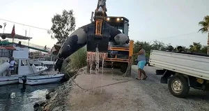 Fethiye’de bulundu! Tam 300 kilo ağırlığında