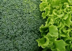 Aylarca taptaze kalsın! Yeşillikleri ömrünü uzatan sırrı keşfedin: Bir tane...