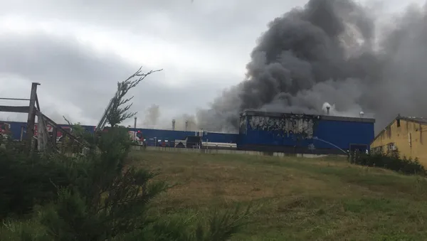 Son dakika | Kocaeli'de ilaç fabrikasında korkutan yangın - 1