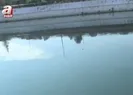 Çevre felaketi! Dere simsiyah akıyor