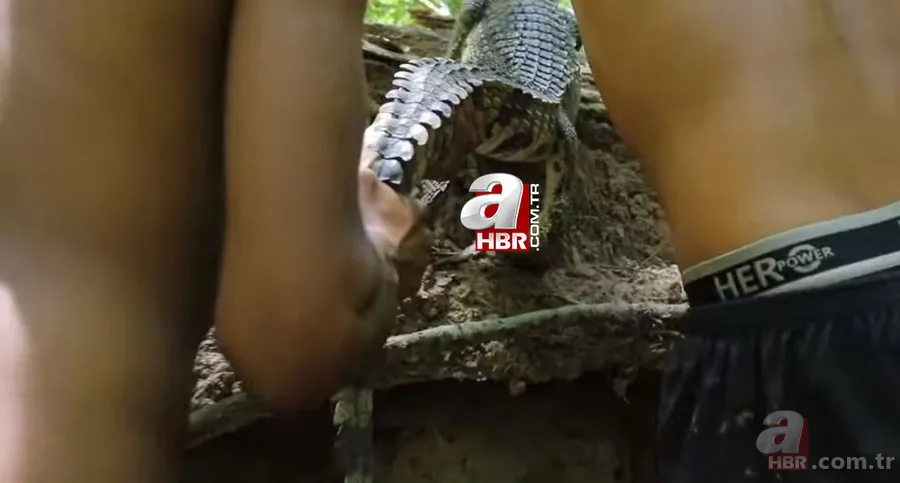 Elleriyle timsah yakaladılar! Pişirmek için kolları sıvayan ikili timsahın karnından çıkanları görünce şaştı kaldı 1