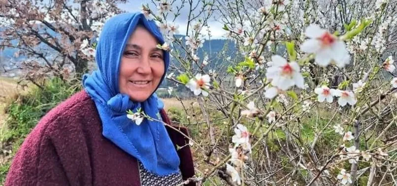 Manisa Sarıgöl'de tüm meyve ağaçları çiçek açtı!