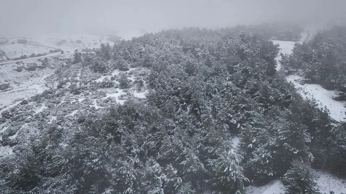 İzmir'de yüksek kesimlerde kar etkili oluyor