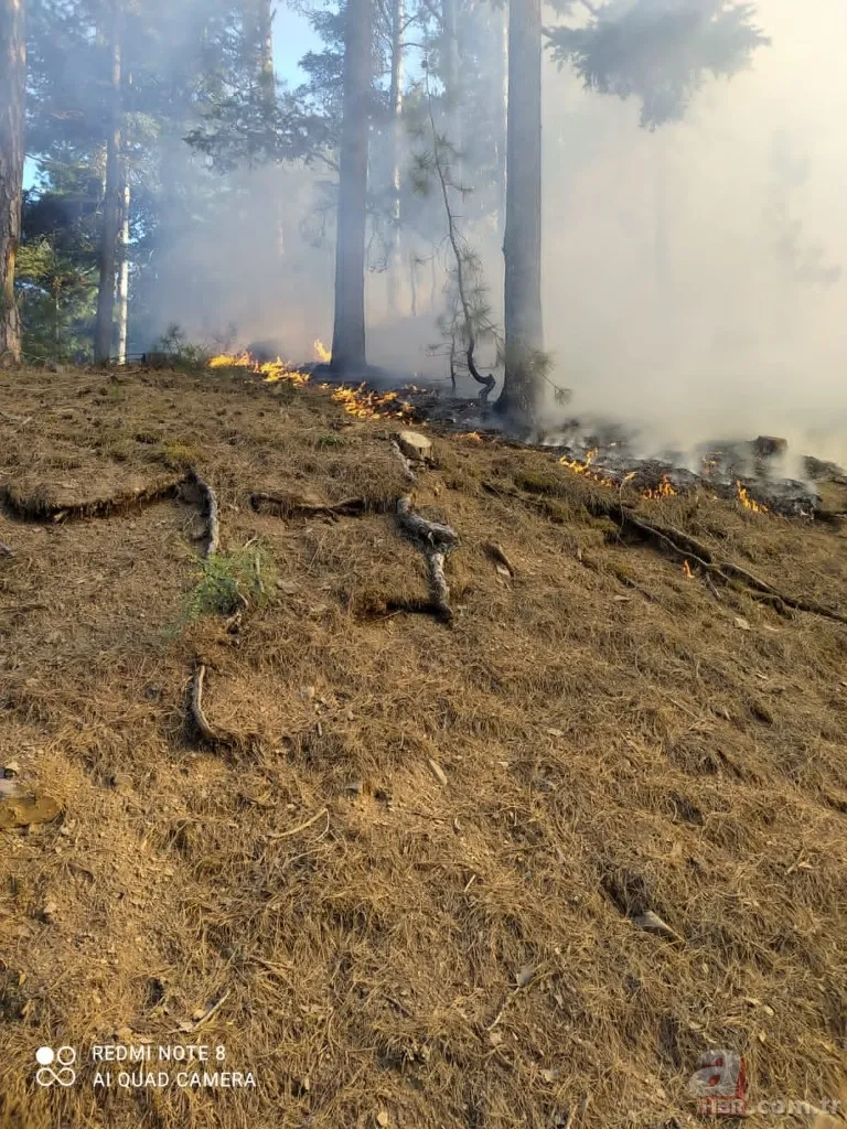 Adana’da çıkan orman yangını kontrol altına alındı 5