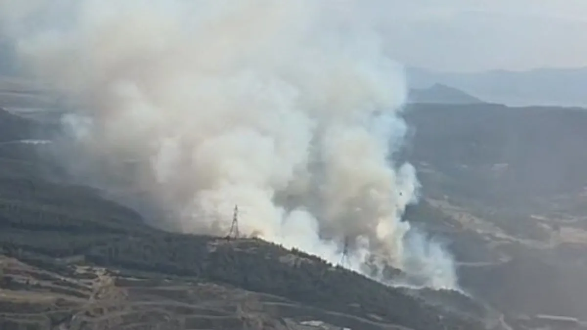 İzmir'de korkutan orman yangını! Alevler kontrol altına alındı