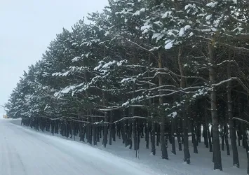 En düşük hava sıcaklığı Kars'ta