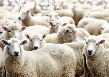 2016 Kurban Bayramı namaz saatleri açıklandı! Kurban bayramı namazı saat kaçta?
