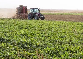 Tarım-ÜFE Kasım'da arttı