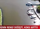 Kökü kokuya dayanmayan vatandaşlardan İBBye tepki