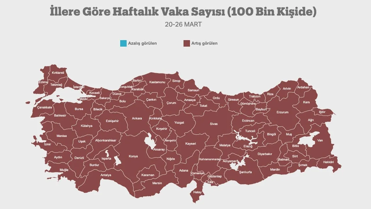 en cok korona olan iller en az vaka