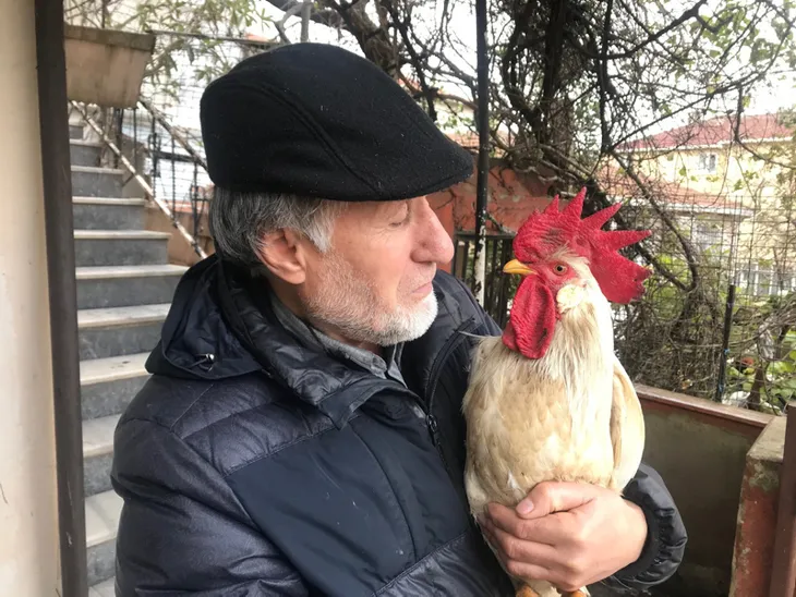 horoz-husnunun-intikami-kendisine-tas-atan-postaciyi-1579282666300.jpg Horoz Hüsnü'nün intikamı! Kendisine taş atan postacıyı... - 1