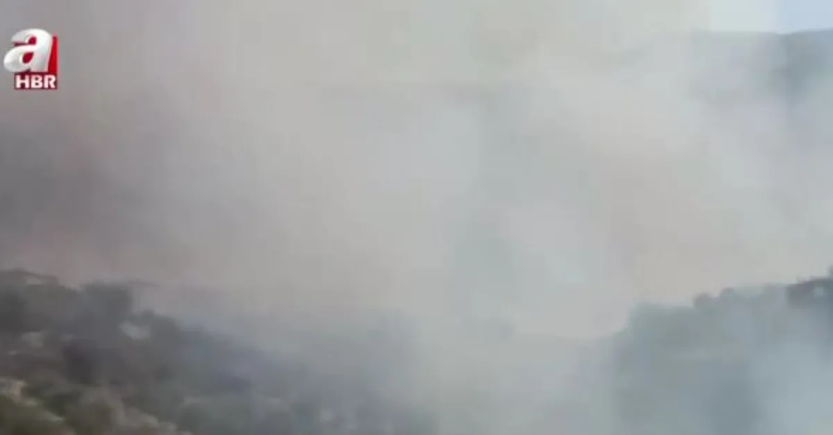 Antalya'nın 4 ilçesinde orman yangını