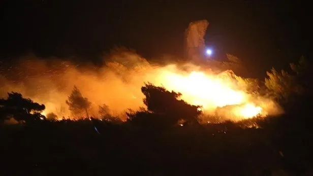 Ormanların yakılması talimatı terör örgütü PKK’dan! Her şeyi itiraf etti: Önüne ne geliyorsa yak