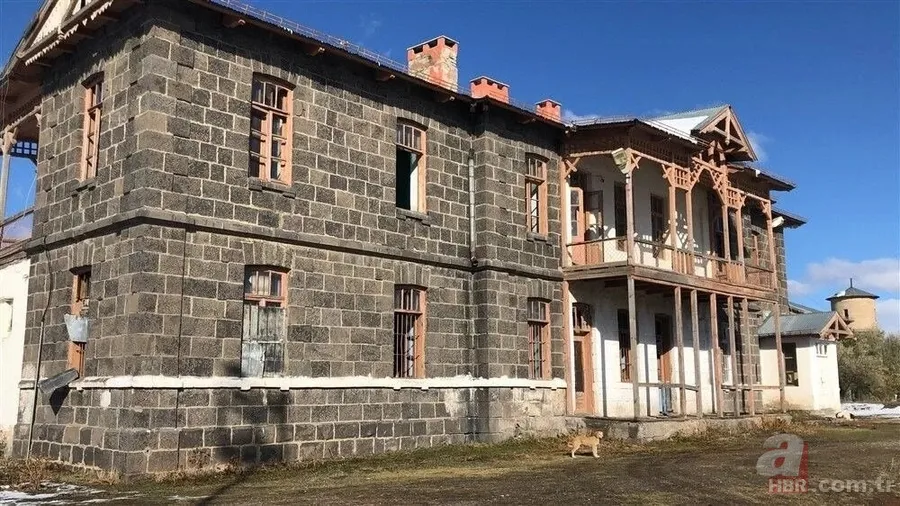 Bozkırın ortasında yemyeşil doğa! Hayran bırakan görüntüler 19