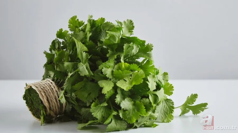 Doğal kalp ilacı doğada bulundu! Tansiyon ve kolesterolü sabitleyen o bitki 4