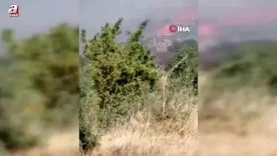 Söke’de zirai alan yangını